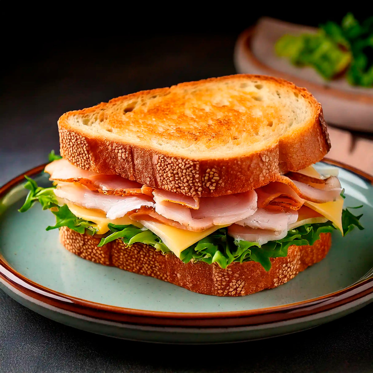 Pechuga de Pavo Saborizada - Mediterránea Pavos del Campo